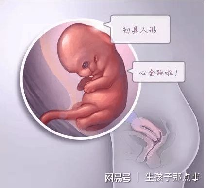 关于极光